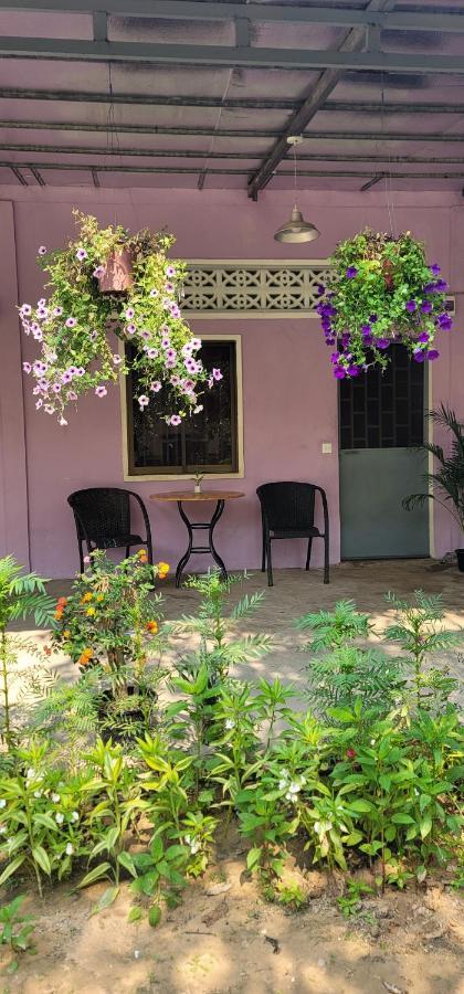 Ferienwohnung The Purple House Siem Reap Zimmer foto